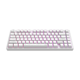 Dark Project ALU Terra Nostra White - Wired Gaming Keyboard (ANSI)