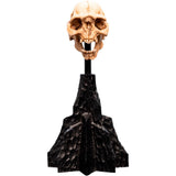 Weta Workshop Lord of the Rings - Skull of a Moria Orc Minuature