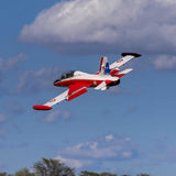Aermacchi MB-339 60-86N Turbine ARF; Military