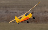 Champ Anniversary Special Edition 515mm BNF Basic with SAFE Select