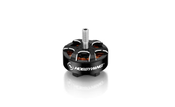Hobbywing 30418003 - Xrotor FPV Motor 2812 900kV 6S