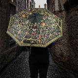 Umbrella - Family Black - Harry Potter