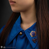 Pin badge Chocolate frog - Harry Potter