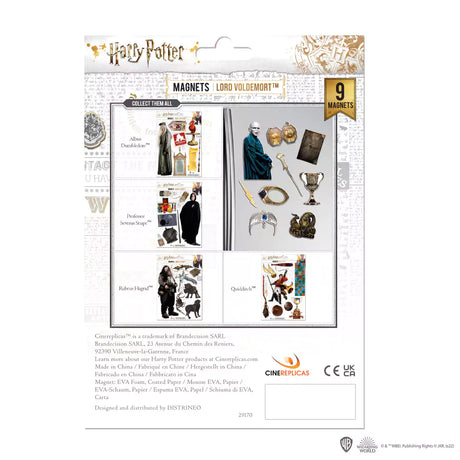 Foam magnet board - Voldemort - Harry Potter