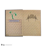 Hard cover notebook and bookmark - Newt Scamander