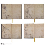 Hard cover notebook and bookmark - Newt Scamander