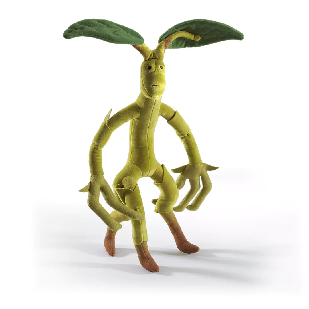 Bowtruckle Collector Plush  - Fantastic Beasts