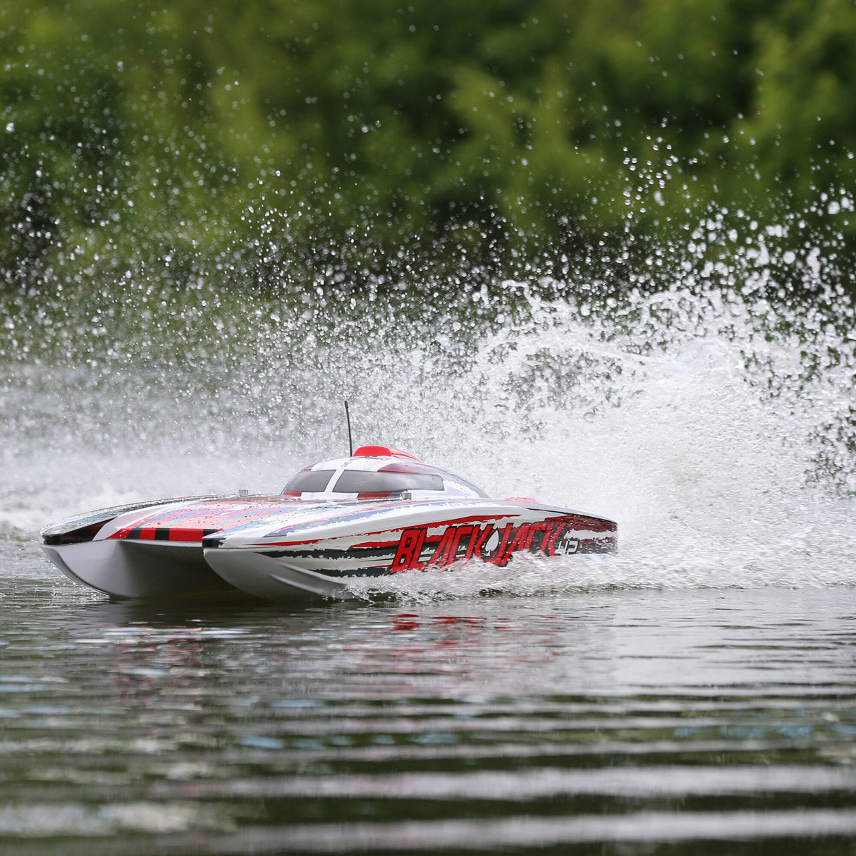 Blackjack 42-inch Brushless 8S Cat,WHT/RED:RTR