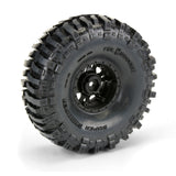 Interco Bogger 1.9 Mtd Impulse Black Whls (2)