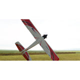RealFlight Trainer Edition w/ WS2000