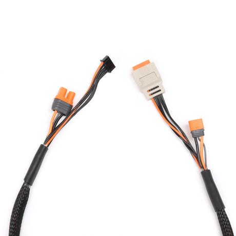 Charge lead w/Bal Ext. 24 inch IC2, 2 –4S