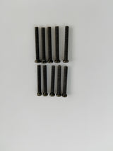 Phillips Screw M2.5x20mm (8)