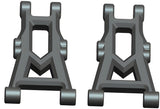 Suspension Arm Rear Lower (2)
