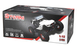 WL 12429 4WD Desert Racer 1/12 RTR