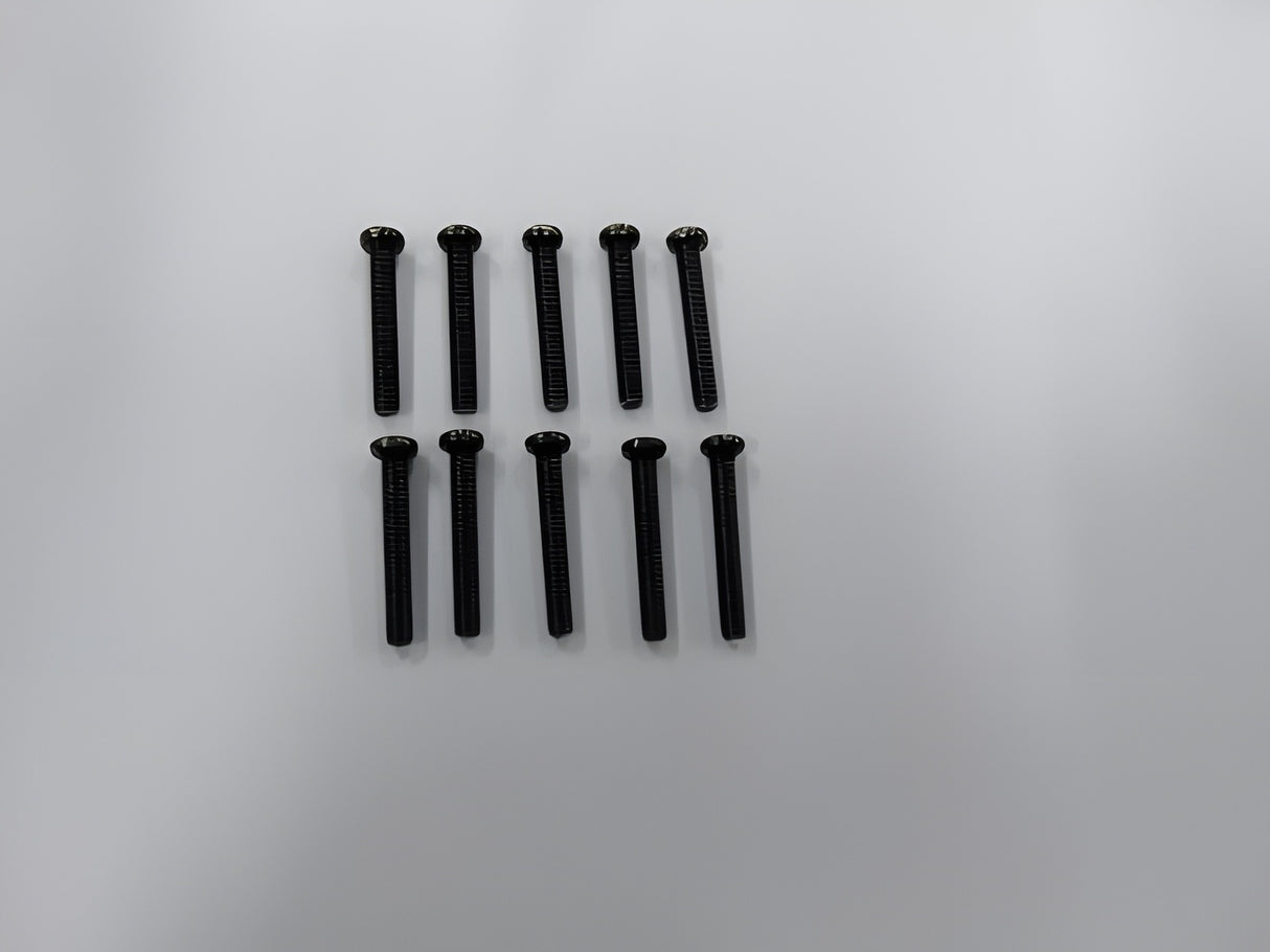Phillips Screw M3x20mm (10)