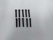 Phillips Screw M3x20mm (10)