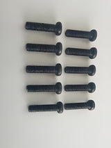 Phillips Screw M3x10mm (10)