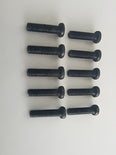 Phillips Screw M3x10mm (10)