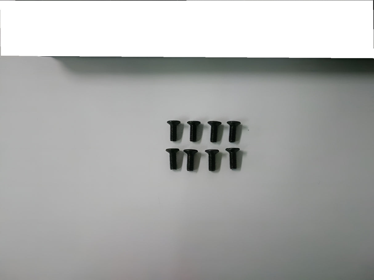 Phillips Countersunk Screw M2x4mm (6)