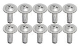 Phillips Screw 1.7x8mm (10)
