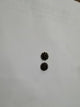 Differential Gear Small (2)