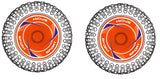Tire &amp; Wheel Rear Orange (2)