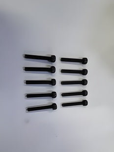 Hex Screw M3x20mm (10)