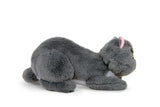 WP MERCHANDISE Patron the Dog (cartoon) - Cat Tom plush toy 23cm