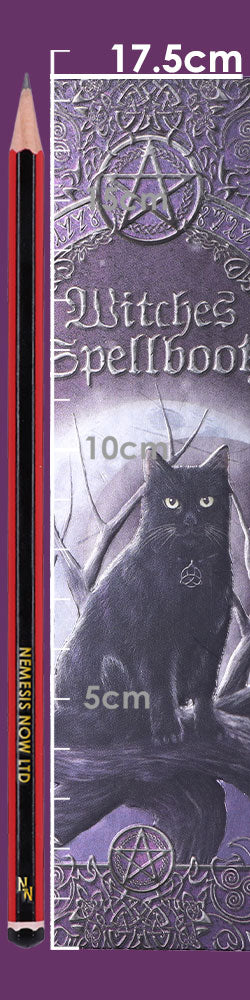 Embossed Black Cat Witches Spell Book  A5 Journal with Pen