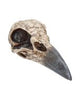 Edgar Allen Poe's Nevermore Raven Skull Trinket Holder Jewellery Dish