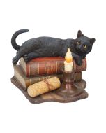 Lisa Parker The Witches Apprentice Cat Crystal Ball Purse
