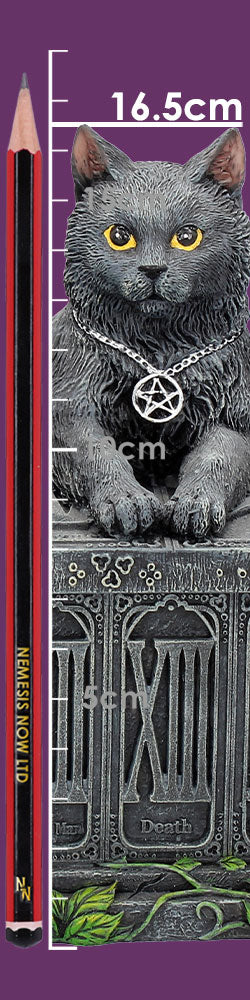 Fortune's Watcher Cat Familiar Tarot Box
