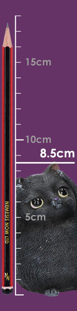 Three Wise Fat Cat Figurines 8.5cm - 3 Wise Cute Cats