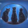 Nemesis Now Lisa Parker Wish Upon A Star Cat Purse Blue 18.5cm