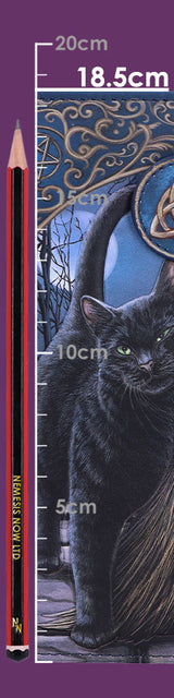 Nemesis Now Lisa Parker A Brush With Magick Cat Purse Navy 18.5cm