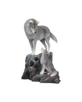 Nemesis Now Lisa Parker Guidance Wolf Pup Embossed Purse Turquoise 18.5cm