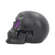 Geode Skull Black Purple Gothic Glitter Skull Figurine