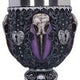 Edgar Allen Poe Nevermore Raven Goblet
