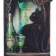 Lisa Parker Absinthe and Black Cat Familiar Purse