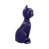 Purple Mystic Kitty 26cm Ouija Cat Figurine