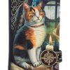 Lisa Parker Adventure Awaits Calico Cat Ship Embossed Purse