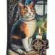 Lisa Parker Adventure Awaits Calico Cat Ship Embossed Purse