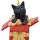 Lisa Parker Present Cat Hanging Ornament 9cm