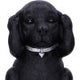 Three Wise Labradors 8.5cm