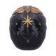 Destiny Palmistry Skull 18cm