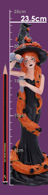 Cinnamon Sugar & Spice Witch Figurine 23.5cm