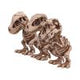 Three Wise Tyrannosaurus Rex Skeleton Figurines