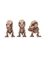 Archaeopteryx Skull Decorative Resin Replica