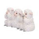 Three Wise Sheep Figurines by Nemesis Now