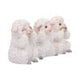 Three Wise Sheep Figurines by Nemesis Now